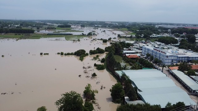 Dự án có tổng chiều dài khoảng gần 19 km, gồm tuyến suối Cái nhánh chính ra cầu Tổng Bảng dài 14,3 km và nhánh phụ ra cầu Bà Kiên dài 4,6 km, có tổng mức đầu tư hơn 4.942 tỉ đồng, do Ban Quản lý dự án ngành nông nghiệp và phát triển nông thôn tỉnh Bình Dương làm chủ đầu tư.