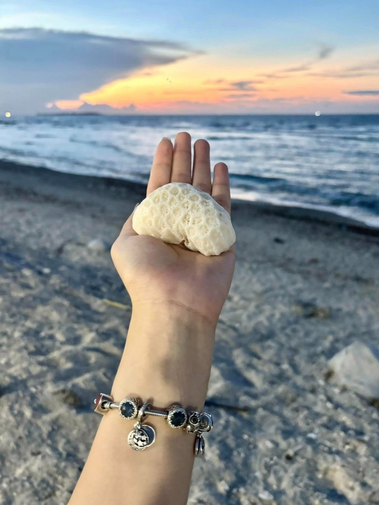 Vẻ đẹp của thiên nhiên.