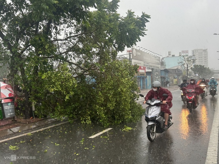 Mưa lớn kèm gió giật làm cây đổ trên đường Phạm Văn Đồng.