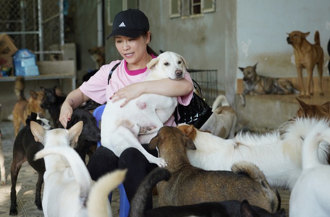 Kiều Linh chia tay danh hài Mai Sơn - 4