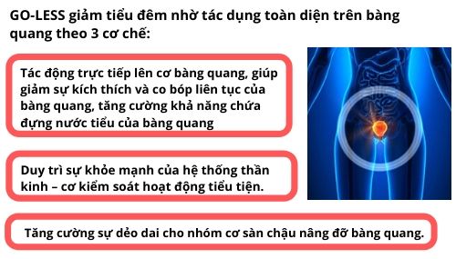 Cơ chế tác động toàn diện của GO-LESS độc quyền từ Thụy Sĩ