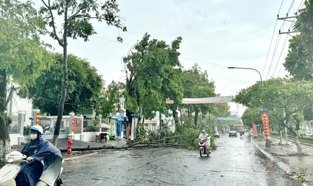 Mưa giông ở An Giang: Hàng loạt cây xanh đổ ngã, hàng chục ngôi nhà tốc mái - 2