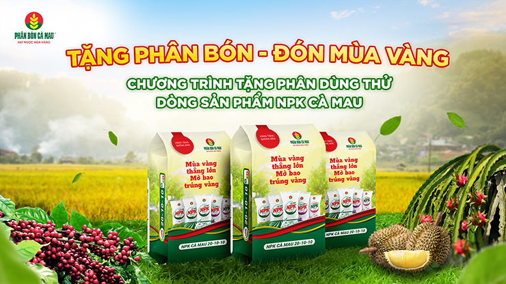 Chương trình được triển khai trong cao điểm vụ Hè Thu, giúp bà con canh tác hiệu quả, tiết kiệm, sẵn sàng cho mùa vàng thắng lớn.