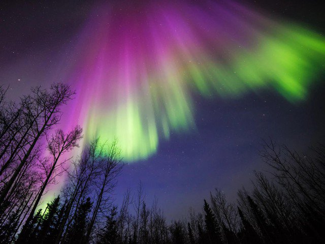 Cực quang xuất hiện trên bầu trời bang Alaska - Mỹ - Ảnh: NASA