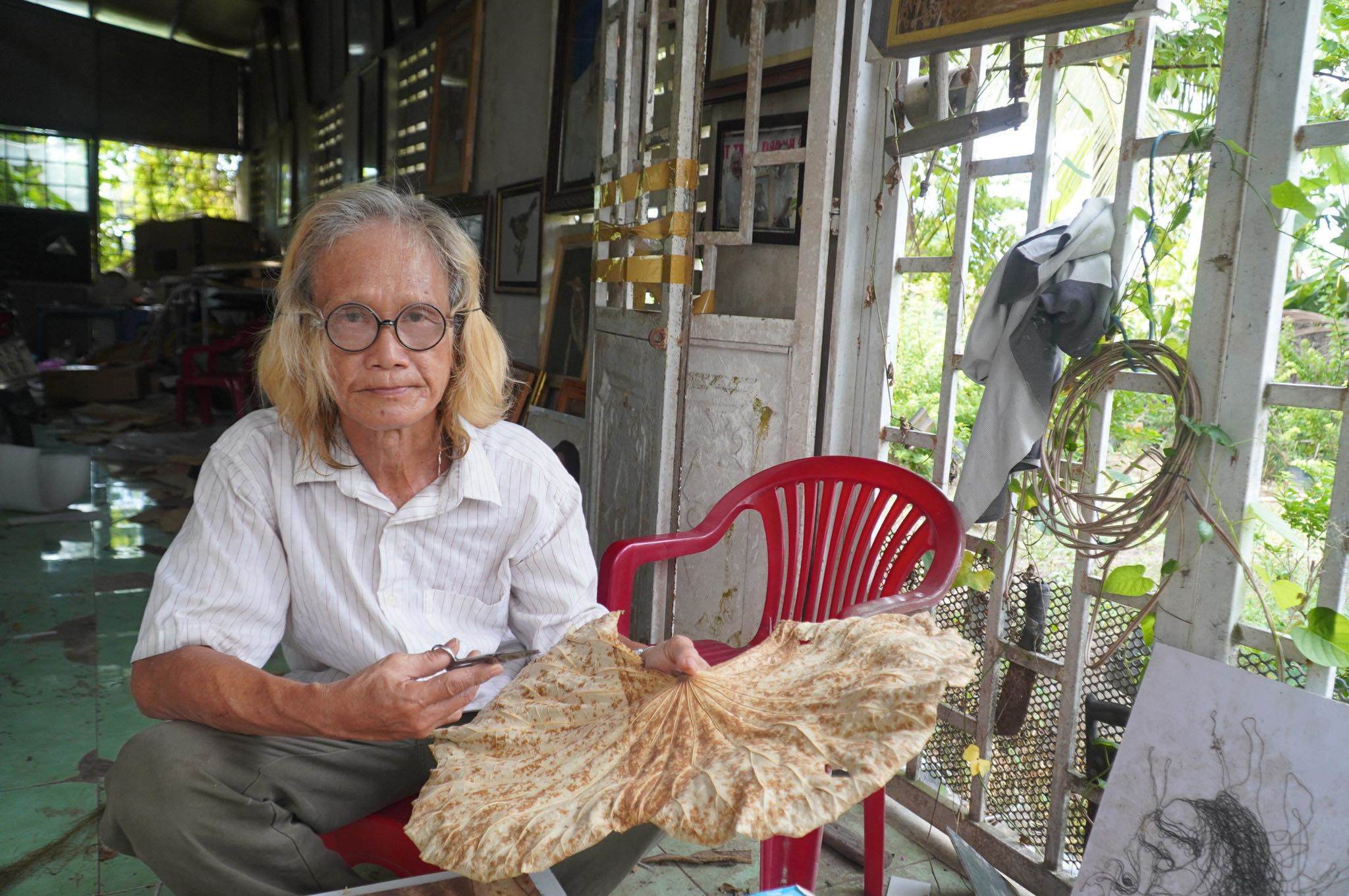 Ông Bảy Nghĩa cho biết lá sen nào cũng có thể làm được tranh.