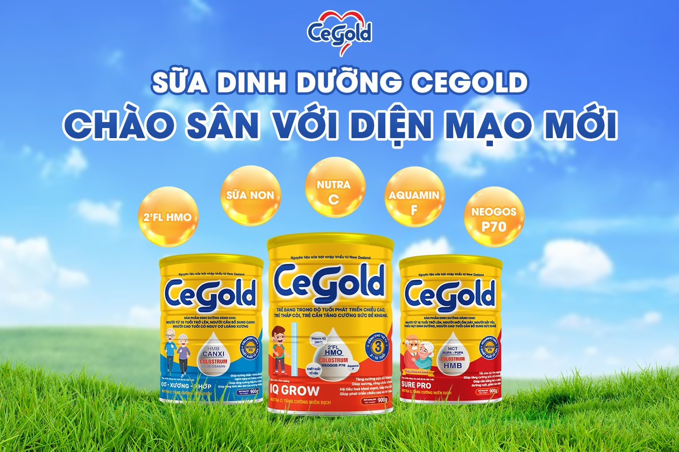 Dược Quốc Tế Group là đơn vị phân phối các sản phẩm sữa dinh dưỡng CeGold