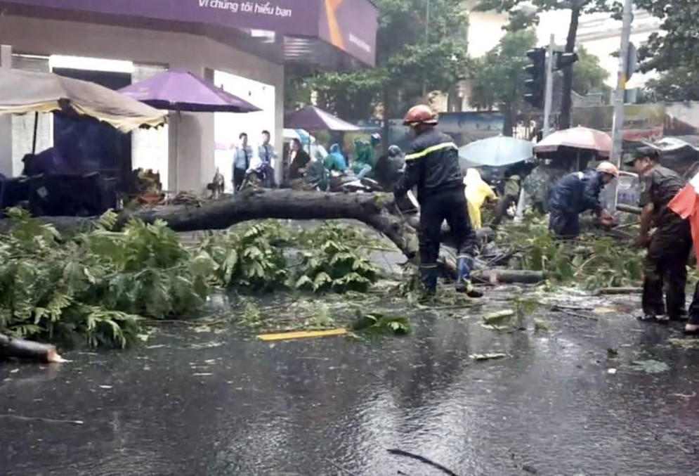 Lực lượng địa phương cùng với công an, nhân viên cây xanh nhanh chóng có mặt không cho người dân lưu thông qua khu vực cây ngã để đảm bảo an toàn. Đến 17h cây bật gốc đã được cắt gọn và di dời đi nơi khác, giao thông qua khu vực bình thường trở lại.