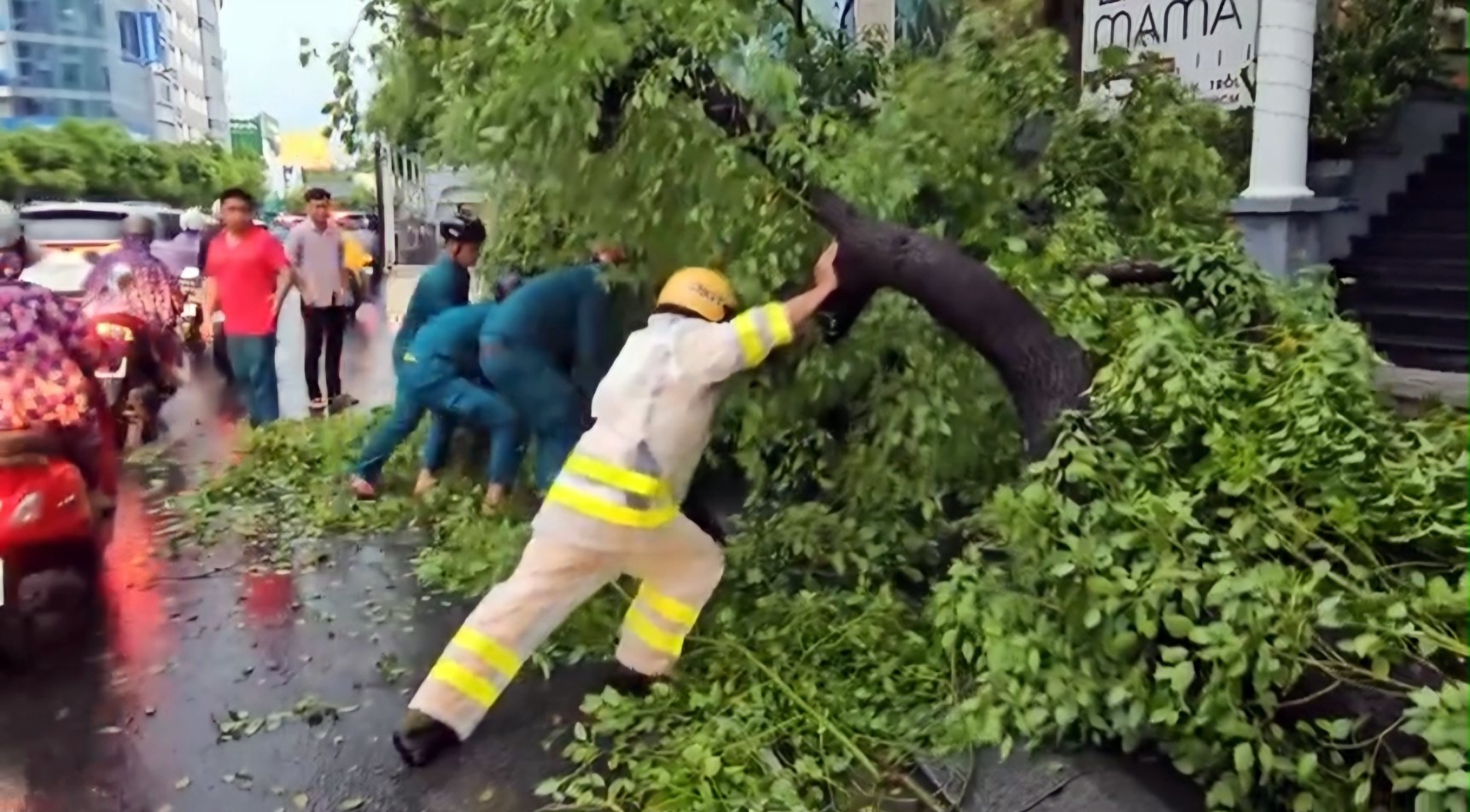 Lực lượng CSGT, dân quận địa phương hợp sức đẩy cây bật gốc vào lề đường để giảm ùn tắc giao thông.