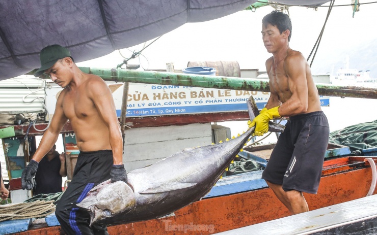 Ngư dân đưa cá lên bờ để cân bán cho thương lái. Ảnh: Trương Định.