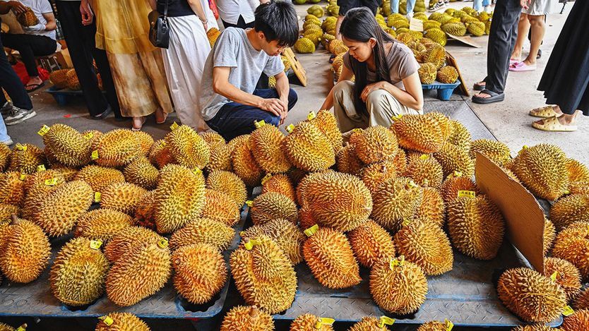 Người Trung Quốc ngày càng phát cuồng với sầu riêng