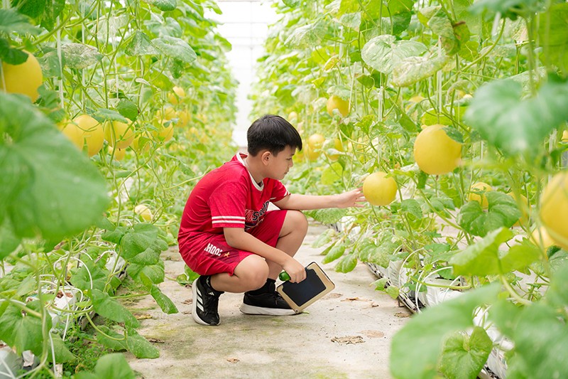 Khám phá “Hành trình nông sản sạch” tại WinEco Tam Đảo - 5