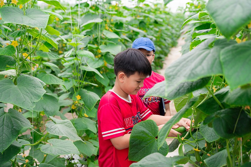 &nbsp;Các “nông dân nhí"&nbsp; đều rất yêu thích trải nghiệm khám phá nông trường tại WinEco.