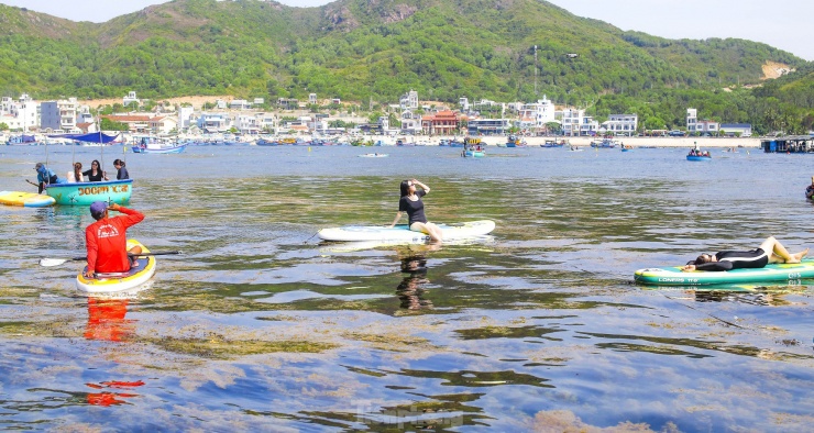 Chị Hoa (44 tuổi), du khách đến từ Bình Dương đang có chuyến du lịch cùng gia đình ở Bình Định chia sẻ rất thích thú khi được ngắm nhìn vẻ đẹp hoang sơ của Hòn Khô. Đặc biệt, ngày đầu hè, được hòa mình vào làn nước biển trong xanh, tự tay chèo sup ngắm nhìn cánh đồng rong mơ đem lại một cảm giác rất tuyệt vời. Ảnh: Trương Định.