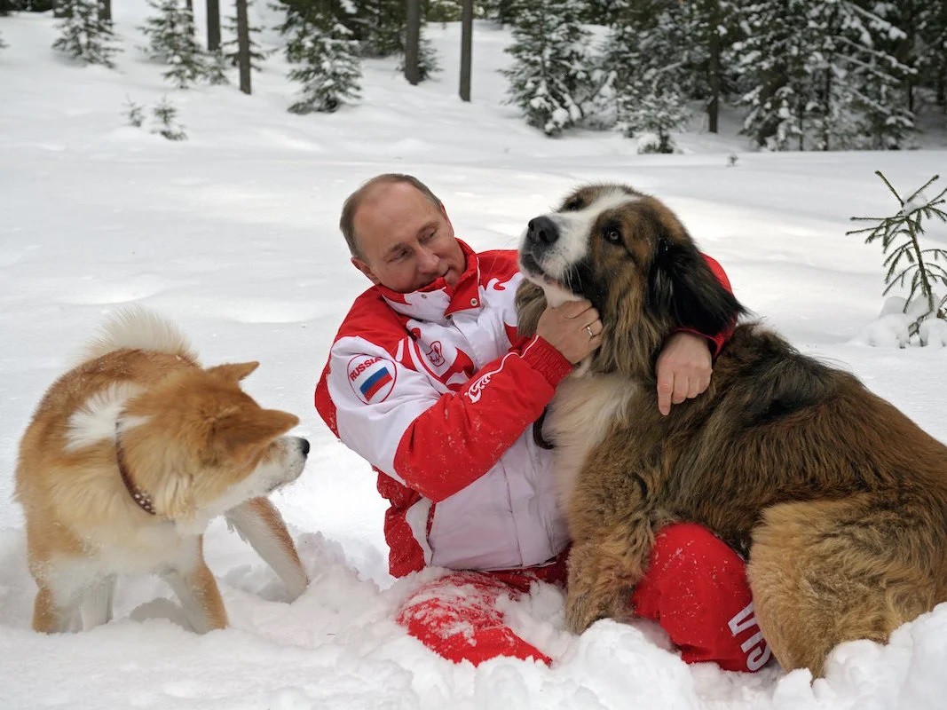 Ông Putin rất yêu động vật, đặc biệt là chó (ảnh: TASS)