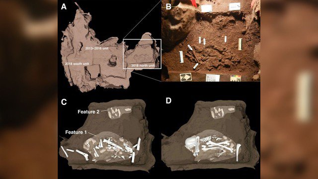 Các phần hài cốt được tìm thấy sâu bên dưới lòng đất ở hang động Cradle of Humankind - Ảnh: Lee Berger và cộng sự