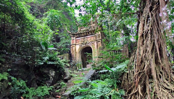 Vẻ cổ kính, rêu phong của chùa Trầm.