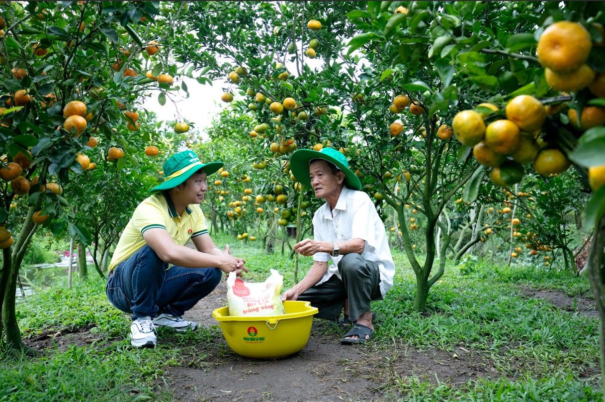 Kỹ sư Phân Bón Cà Mau tư vấn cho nông dân về quy trình, kỹ thuật canh tác