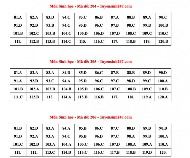 Đáp án tham khảo môn Sinh học thi tốt nghiệp THPT năm 2024 - 24 mã đề - 2