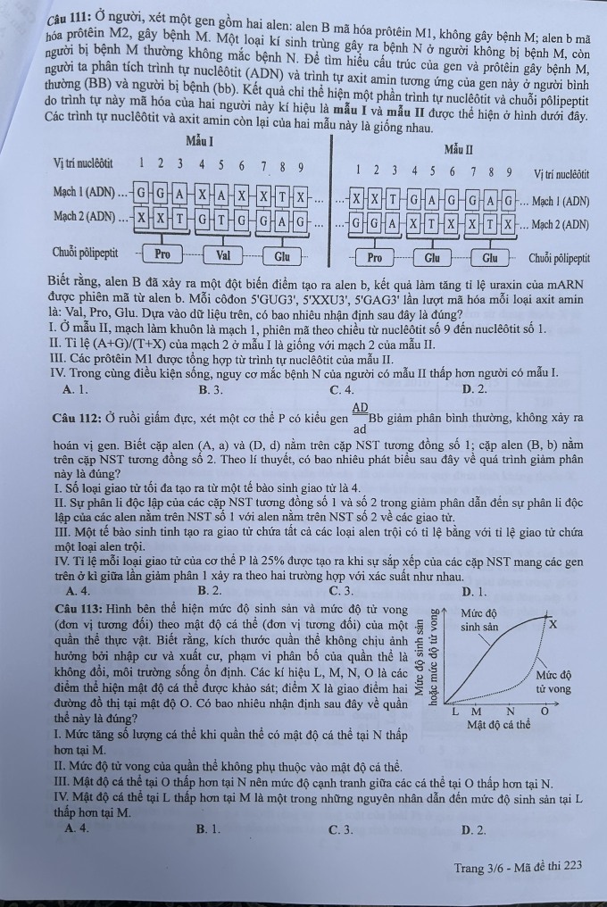 Đề và đáp án môn Sinh thi tốt nghiệp THPT 2024 - 3