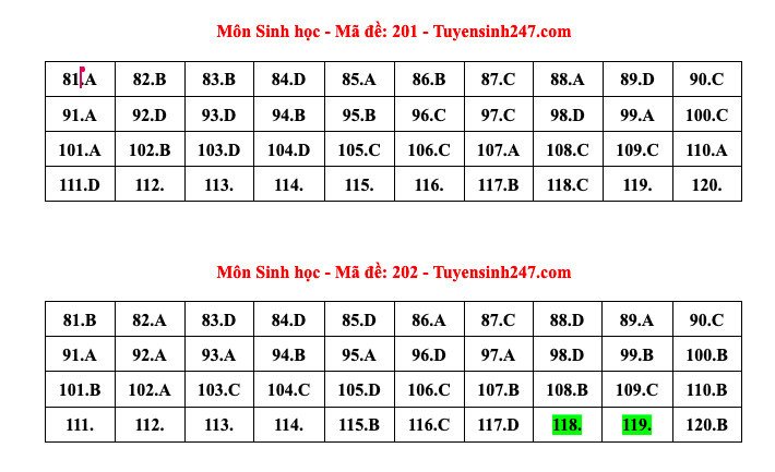 Đáp án tham khảo môn Sinh học thi tốt nghiệp THPT năm 2024 - 24 mã đề - 1