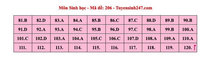 Đáp án tham khảo môn Sinh học thi tốt nghiệp THPT năm 2024 - 24 mã đề - 5