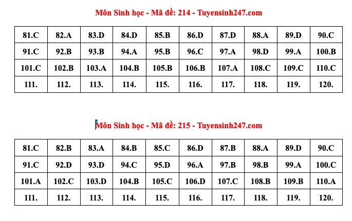 Đáp án tham khảo môn Sinh học thi tốt nghiệp THPT năm 2024 - 24 mã đề - 6