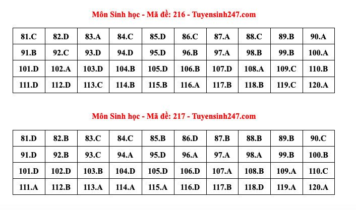 Đáp án tham khảo môn Sinh học thi tốt nghiệp THPT năm 2024 - 24 mã đề - 8