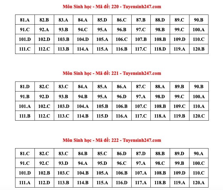 Đáp án tham khảo môn Sinh học thi tốt nghiệp THPT năm 2024 - 24 mã đề - 11