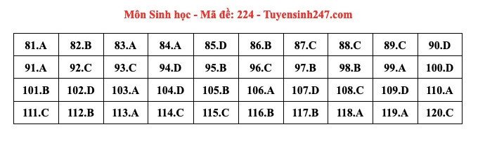 Đáp án tham khảo môn Sinh học thi tốt nghiệp THPT năm 2024 - 24 mã đề - 13