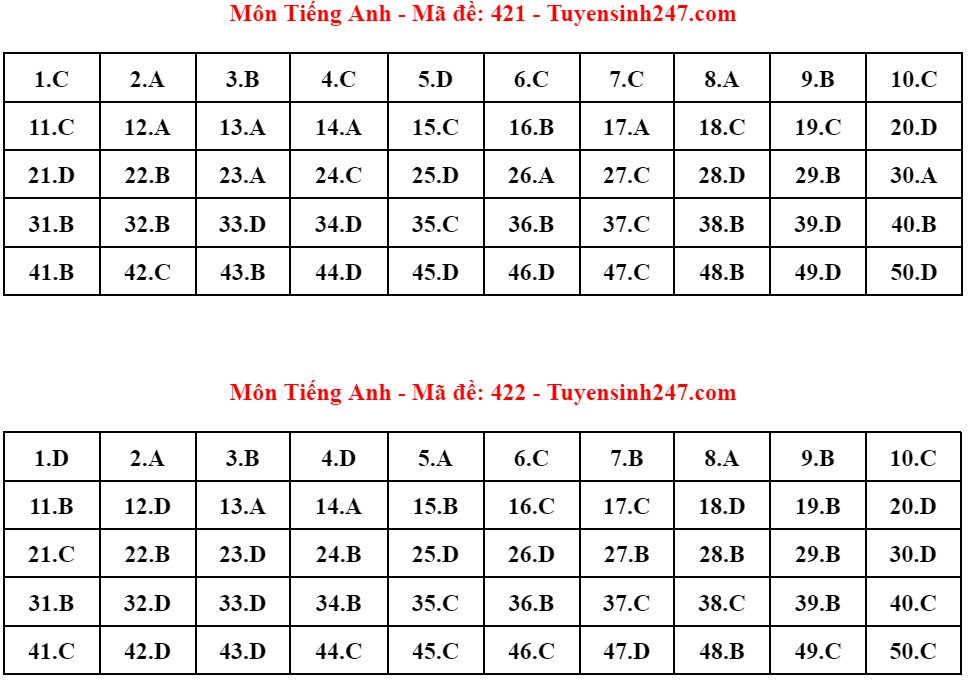 Đáp án 24 mã đề thi Tiếng Anh tốt nghiệp THPT 2024 - 15