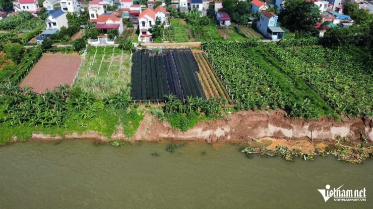 Không chỉ bị cuốn mất nhiều hoa màu, nhiều người dân xã Dân Quyền lo sợ sạt lở sẽ 