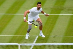 Djokovic lại thắng Medvedev ở Wimbledon: Không thấy đau, không điểm yếu