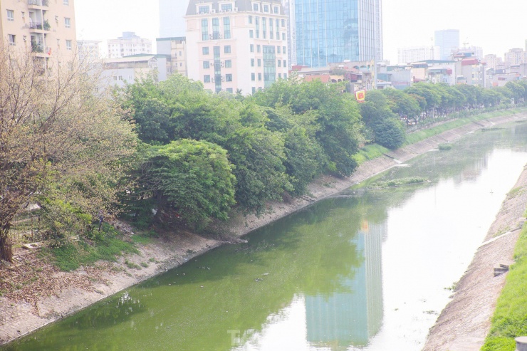 Nước sông Tô Lịch bỗng chuyển sang màu xanh lục - 1