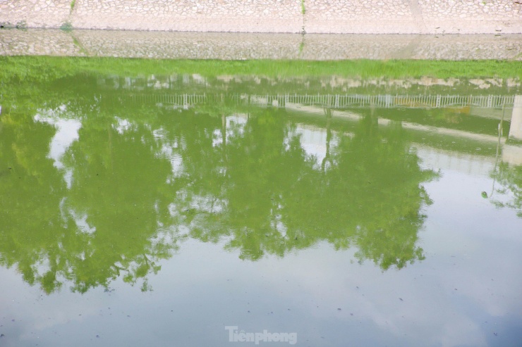 Nước sông Tô Lịch bỗng chuyển sang màu xanh lục - 5