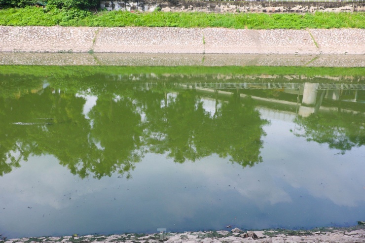 Nước sông Tô Lịch bỗng chuyển sang màu xanh lục - 6