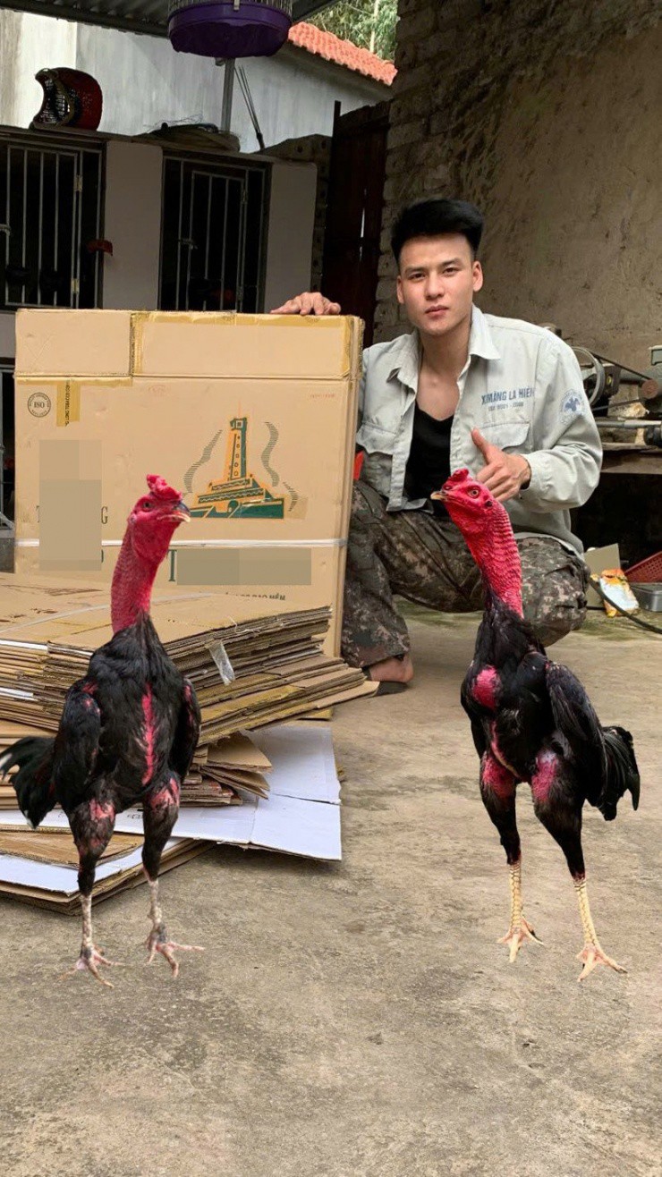Hiện anh vừa công tác ở xã, vừa làm nghề chăn nuôi, buôn bán&nbsp;