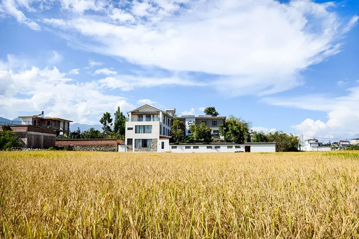 Giữa cánh đồng lúa ở Đại Lý (Vân Nam, Trung Quốc), một căn biệt thự trắng nổi bật hơn hẳn so với khung cảnh xung quanh.
