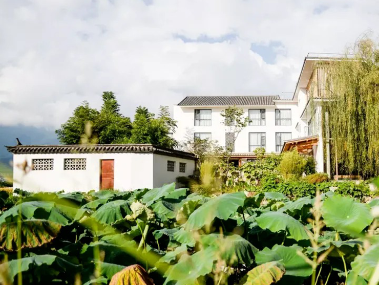 Năm 2013, sau 30 năm học tập và làm việc xa quê, kiến trúc sư Trác Chí cùng ba người anh trai quyết định sửa lại căn nhà cũ để bố mẹ sống thoải mái hơn.
