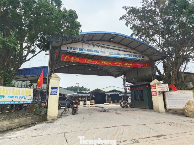 Trạm trưởng ‘bảo kê’ cho đường dây mua bán, giết mổ lợn nhiễm bệnh khai gì?