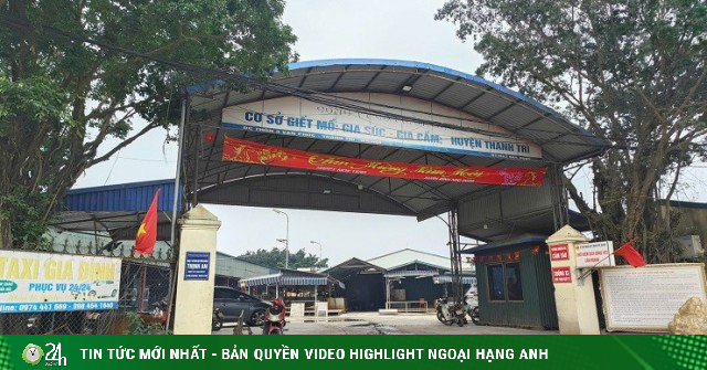 Vụ tiêu thụ gần 300 tấn lợn bệnh ở Hà Nội: Thu giữ cuốn sổ ghi chép việc ăn chia tiền 'làm luật'