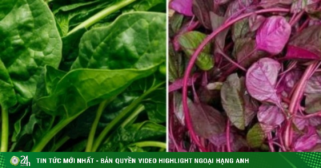 4 loại rau ở Việt Nam là 'kho sắt xanh', bổ máu hơn cả thịt bò: Top 1 tốt cho cả tim và dạ dày, nhiều người chê không ăn