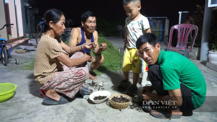 Ngọc Vũ.