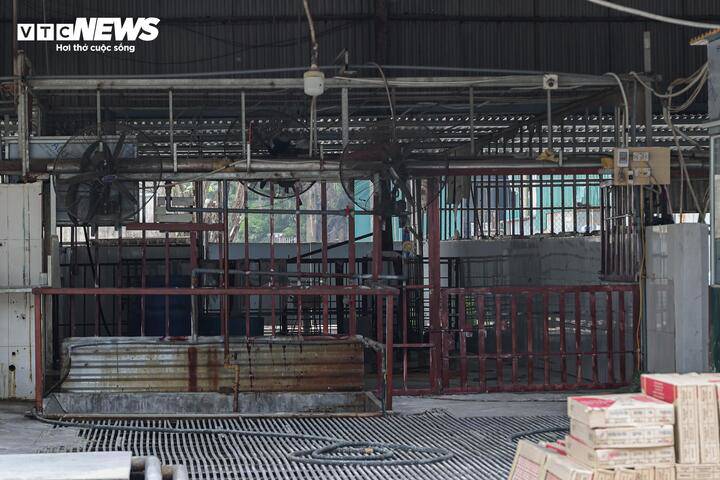 Cận cảnh lò mổ tuồn gần 300 tấn lợn bệnh vào trường học, chợ đầu mối ở Hà Nội - 10