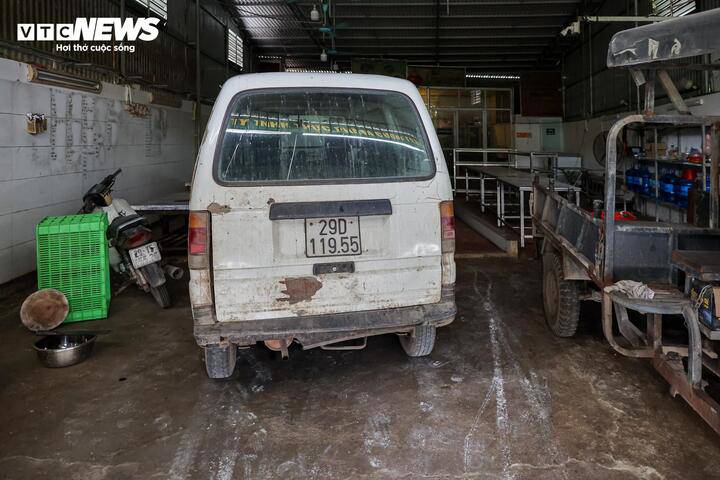 Cận cảnh lò mổ tuồn gần 300 tấn lợn bệnh vào trường học, chợ đầu mối ở Hà Nội - 17