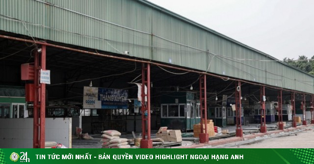 Cận cảnh lò mổ tuồn gần 300 tấn lợn bệnh vào trường học, chợ đầu mối ở Hà Nội