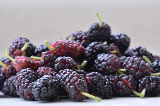 4 loại rau quả giàu selen, càng ăn càng bổ gan - 4