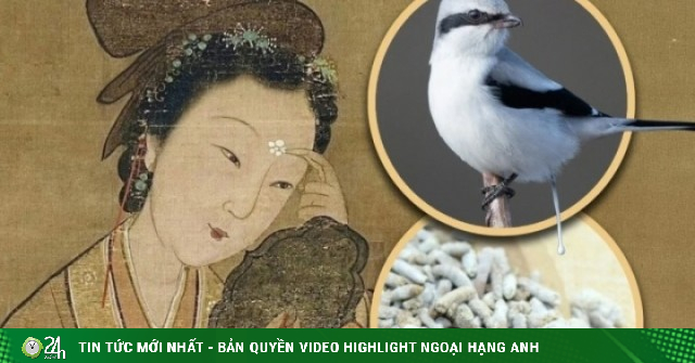Vì sao Từ Hi Thái hậu sử dụng phân động vật để làm đẹp?