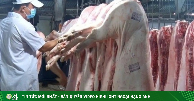 Cựu cán bộ Cục Thú y: 'Kiểm dịch là mảnh đất màu mỡ, béo bở nhất'