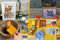 Đám tang xa xỉ cho thú cưng: Nghi lễ long trọng, đốt vàng mã có cả người hầu