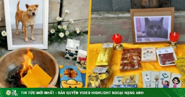 Đám tang xa xỉ cho thú cưng: Nghi lễ long trọng, đốt vàng mã có cả người hầu